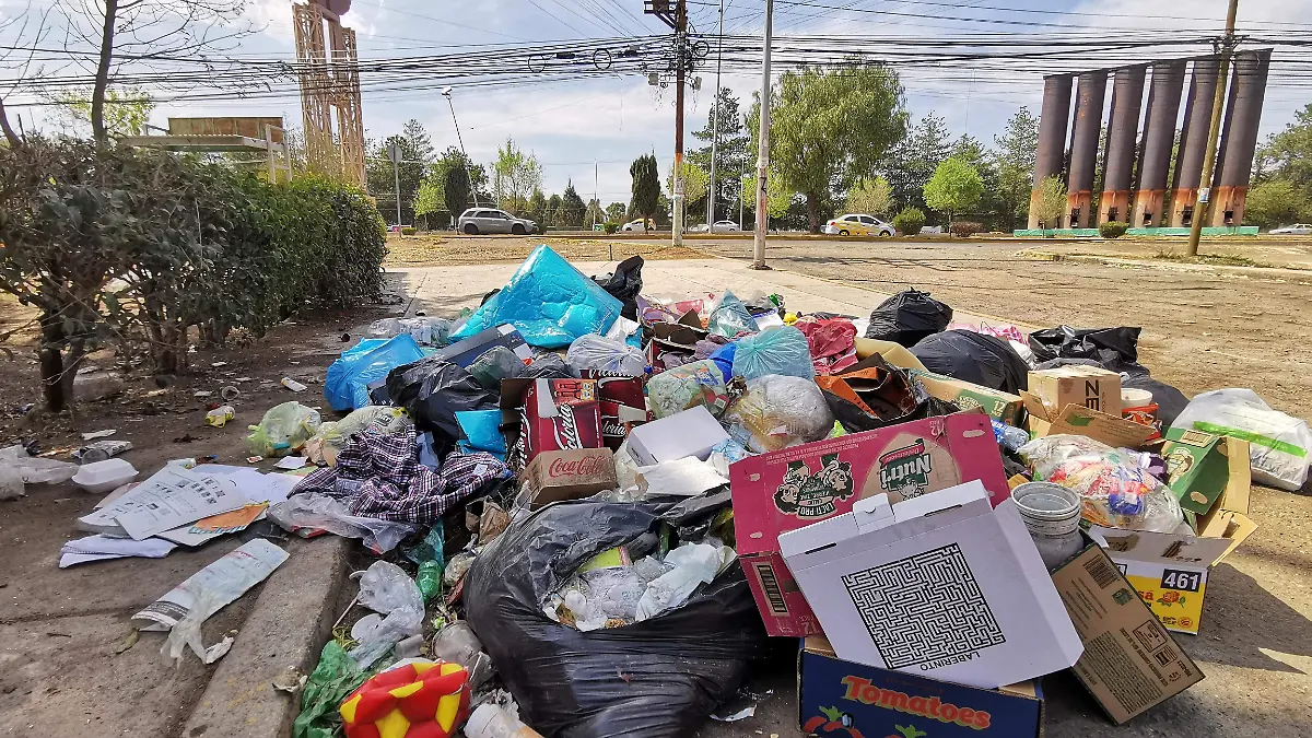 BASURA F BEG (2)